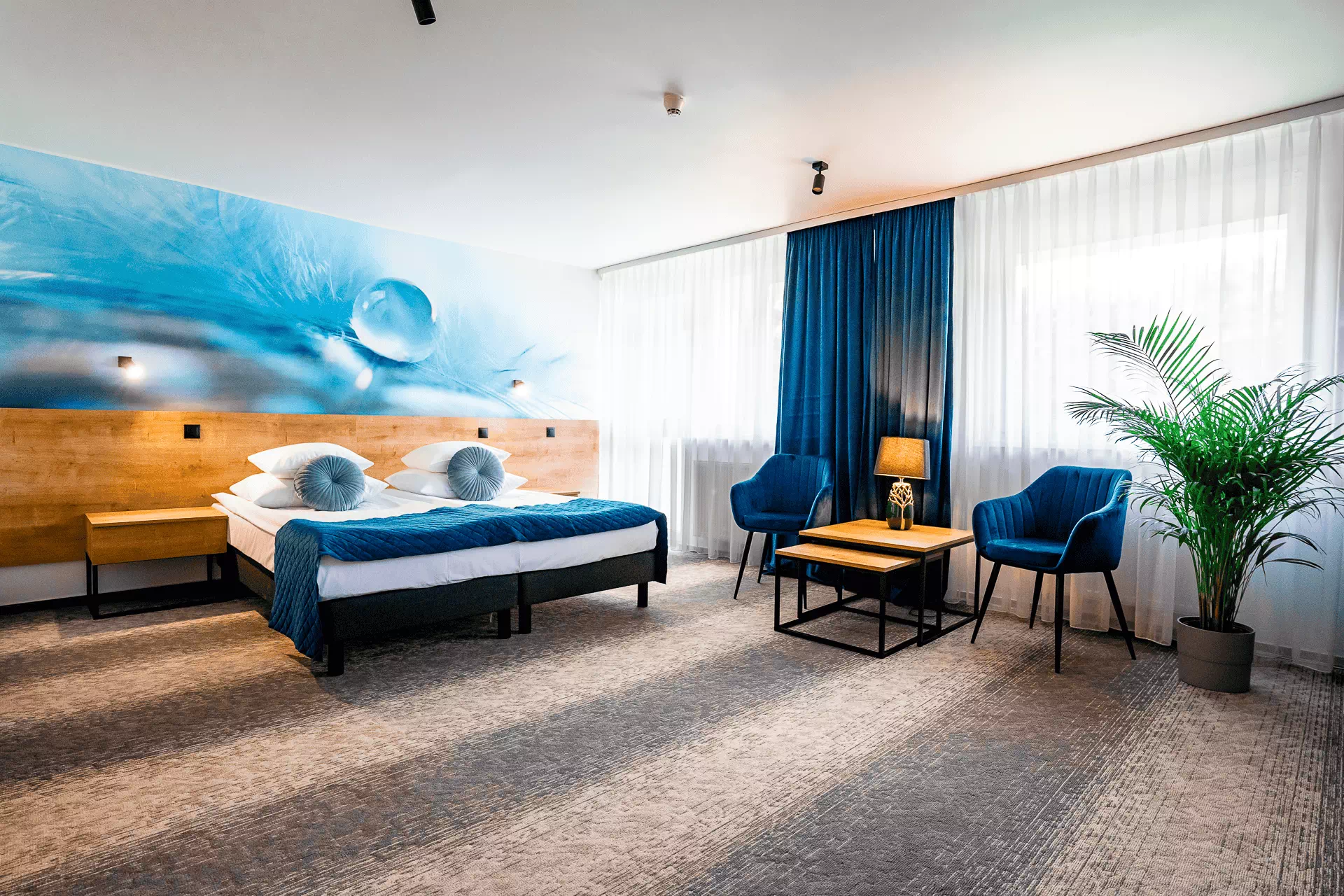 Apartament Niebieski LUX