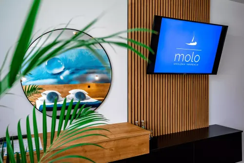 apartament_dwuosobowy_z_azienkk_w_hotelu__centrum_molo_noclegi_nad_zalewem_sulejowskim_w_wojewdztwie_dzkim_12